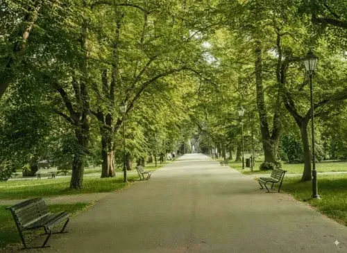 Prestige Horizon Heights tree-lined park walkway